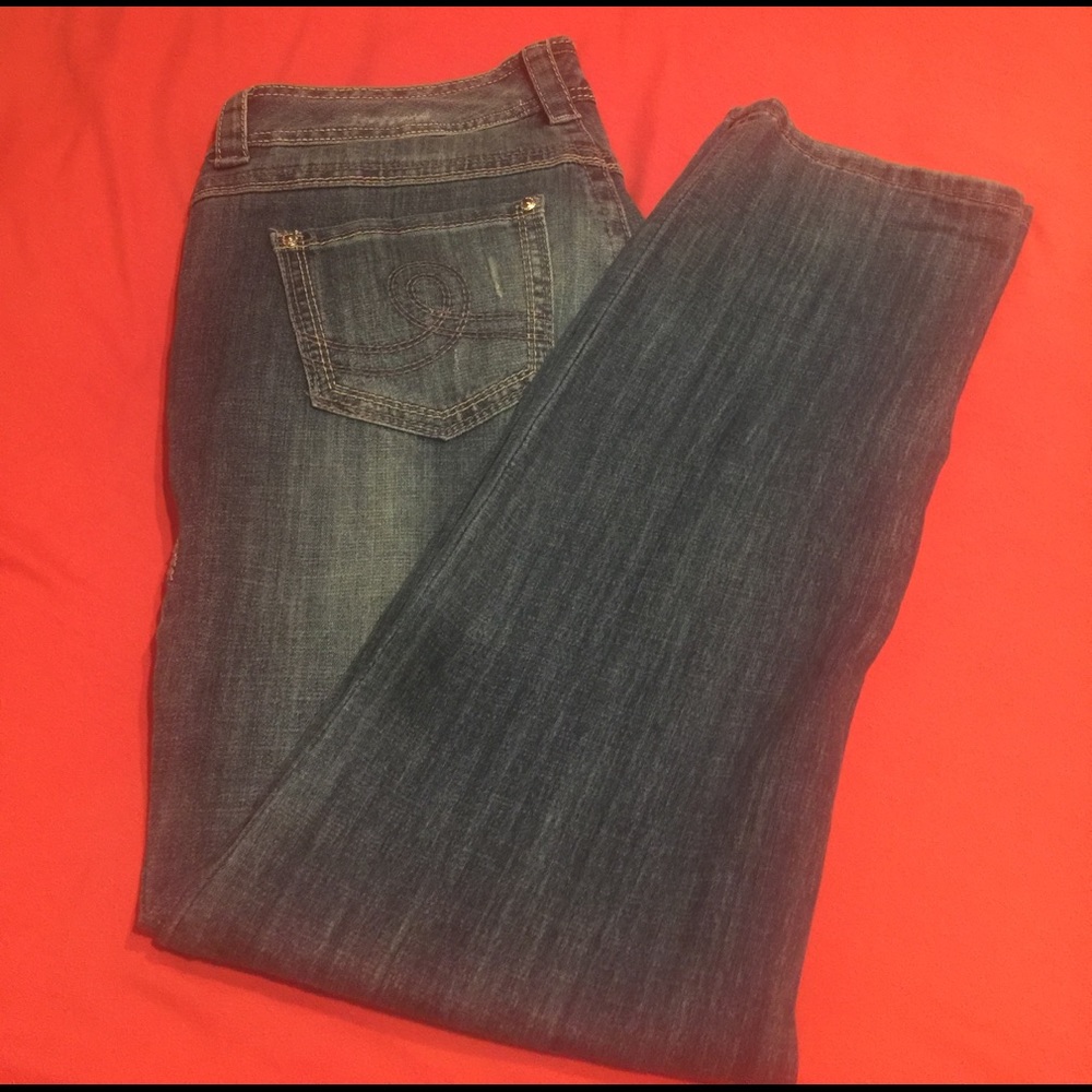 Melissa McCarthy Seven7 Jeans