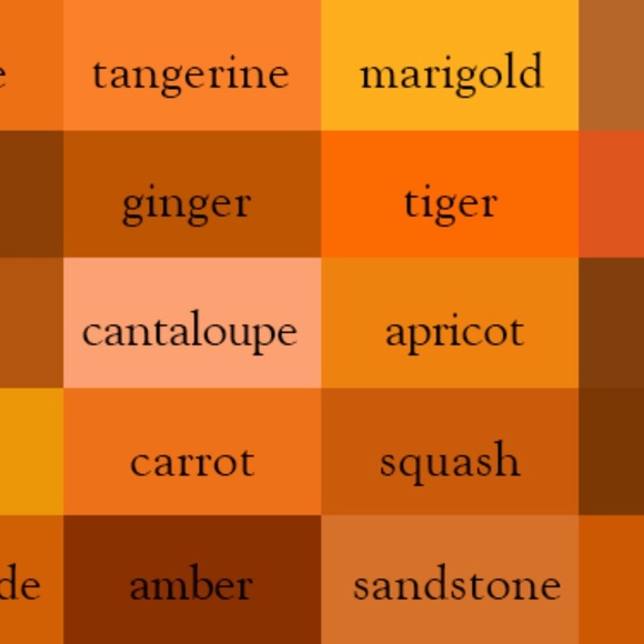 Meet your Posher, Jesse - Picture 4 of 9