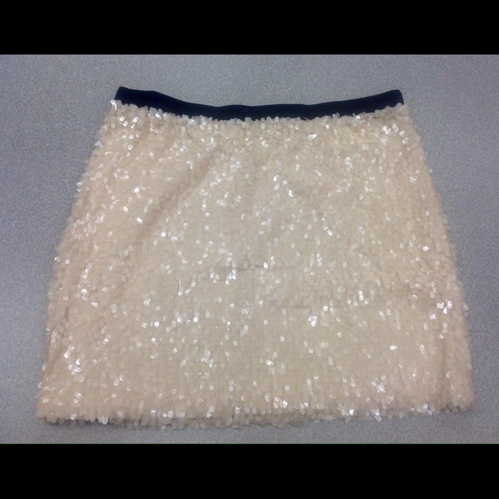 DKNY Sequin Skirt