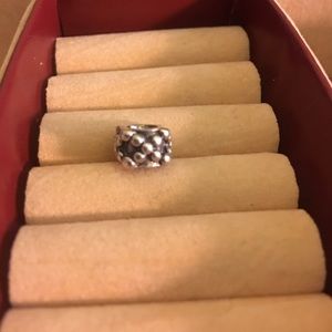 Pandora DNA charm