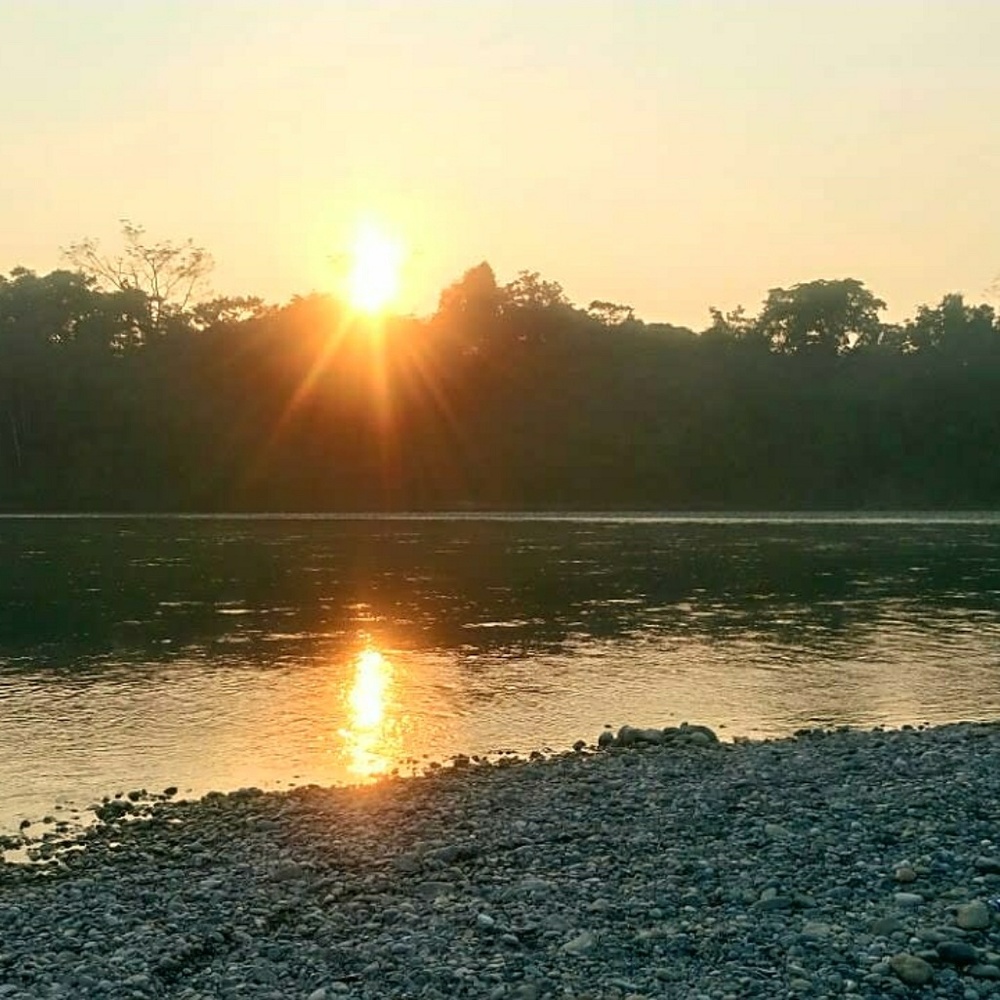 Meet your Posher, Kristi