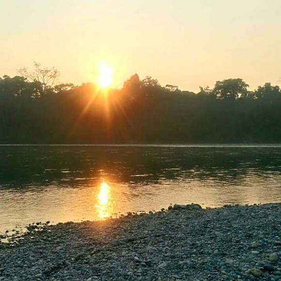 Meet your Posher, Kristi - Picture 1 of 1