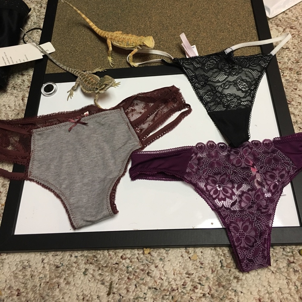 size l/xl panties