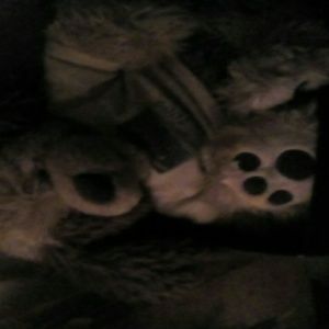 Meet your Posher, Paula