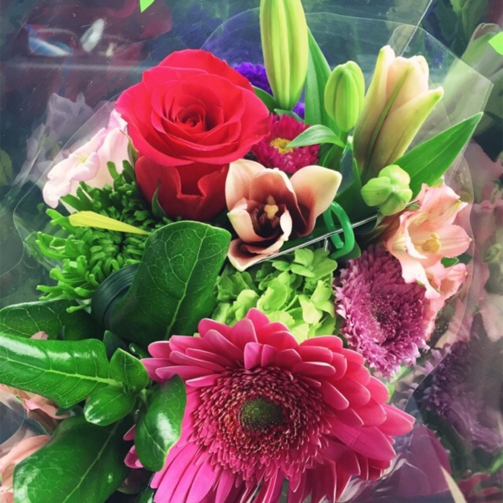 Meet your Posher, Stephanie