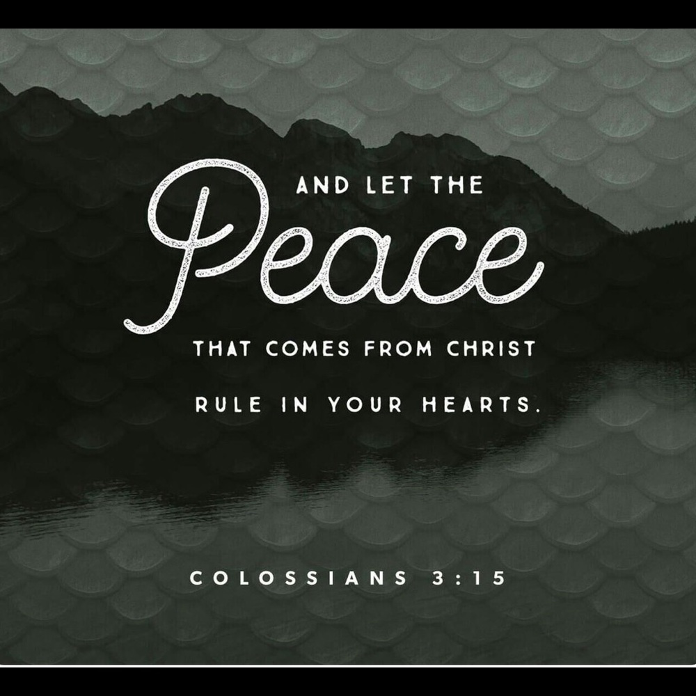 Ahhh...peace. I'll take some of that! ❤