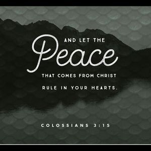 Ahhh...peace. I'll take some of that! ❤