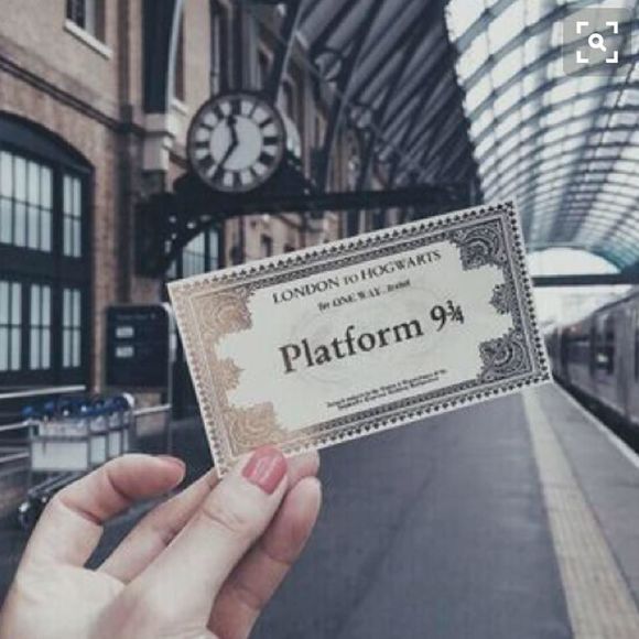 Meet your Posher, Lucy - Picture 1 of 1