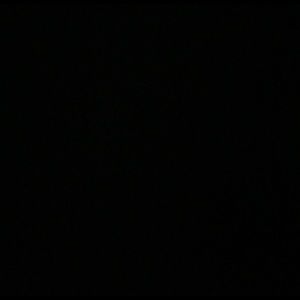 Meet your Posher, Larry