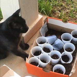 Meet your Posher, Jen