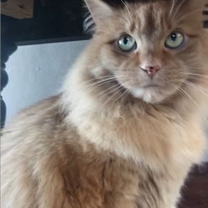 Meet your Posher, Jacob