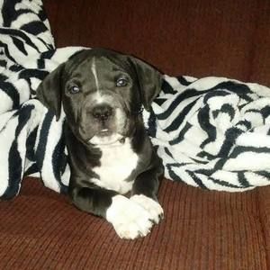 Meet your Posher, Dana