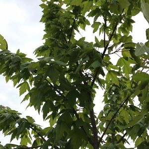 Meet your Posher, Jared