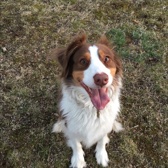 Meet your Posher, Ruth - Picture 1 of 1