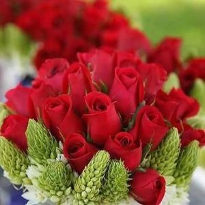 Meet your Posher, Sue ann