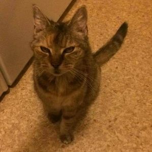 Meet your Posher, Anne