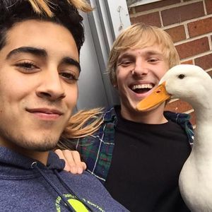 Meet your Posher, Michael