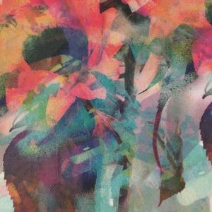 Meet your Posher, Georgi