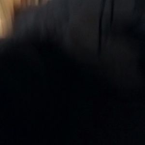 Meet your Posher, Latonya