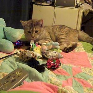 Meet your Posher, Linda