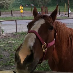 Meet your Posher, Michele