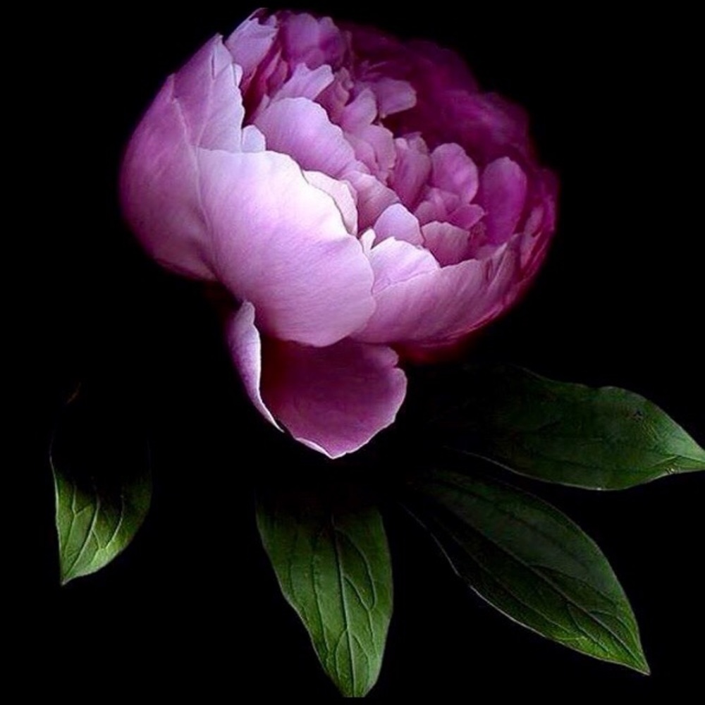 Meet your Posher 😎