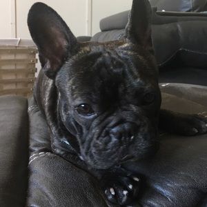 Meet your Posher, Erika