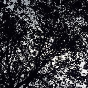 Meet your Posher, Keandra