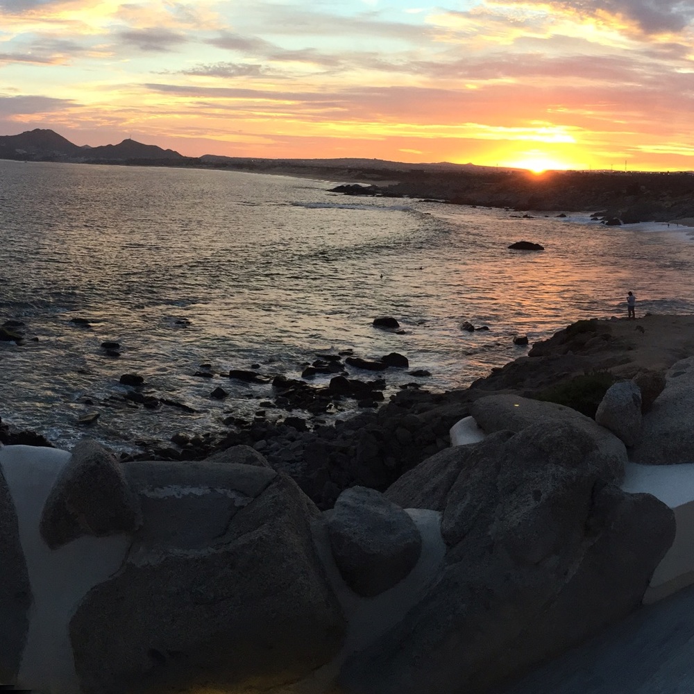 Meet your Posher, RoRo