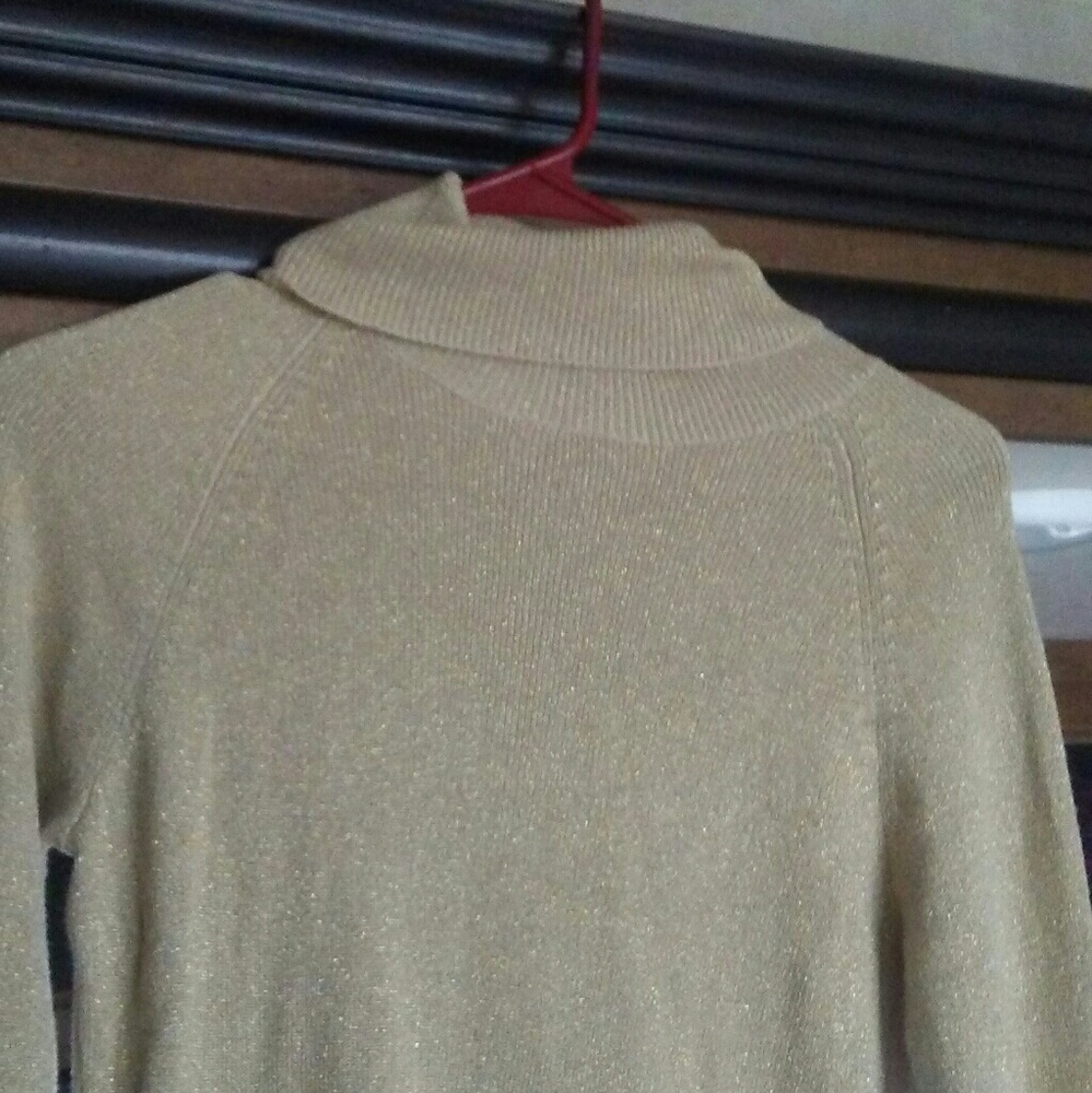 Turtle neck Shimmery shine
