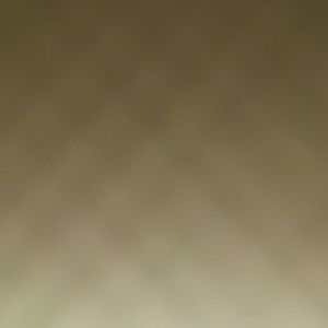 Meet your Posher, Darlene