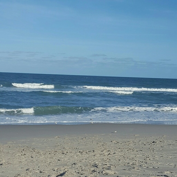 Meet your Posher, Mandy - Picture 1 of 1