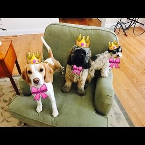 Meet your Posher, Naomi