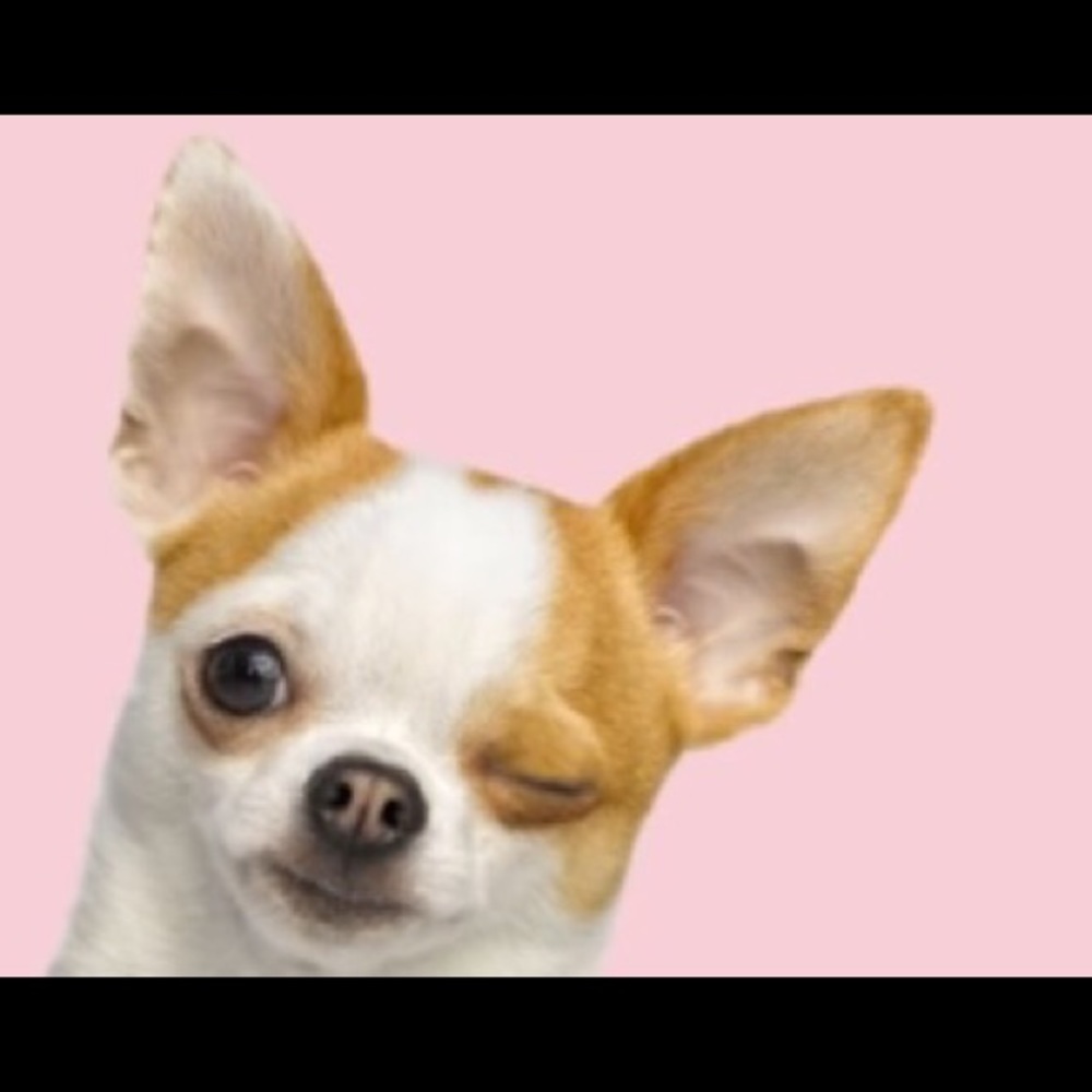 Meet your Posher, Katherine