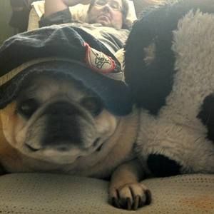 Meet your Posher, Pamela