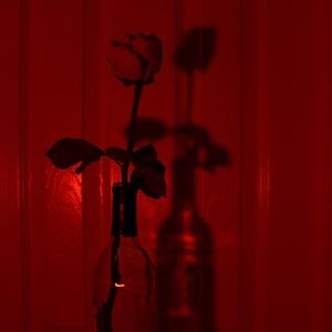 Meet your Posher, Earth