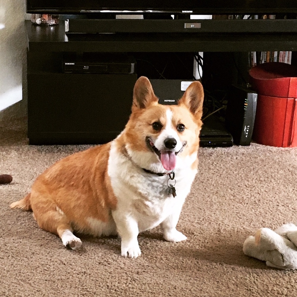 Meet your Posher, Keavy