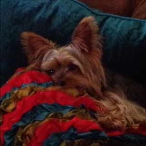 Meet your Posher, Jody