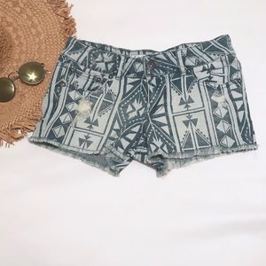 Vintage Havana Shorts