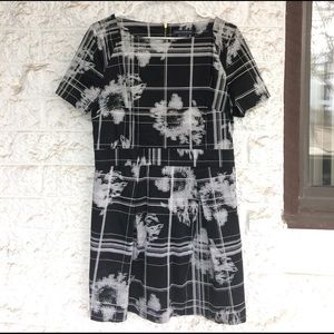 Black and White French Connection dress