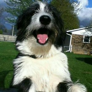 Meet your Posher, Chrissy