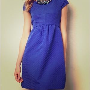 Blue HD in Paris (Anthro) Dress