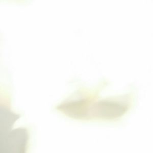 Meet your Posher, Darius