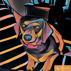 Meet your Posher, Lynn