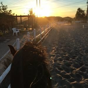 Meet your Posher, Jacki