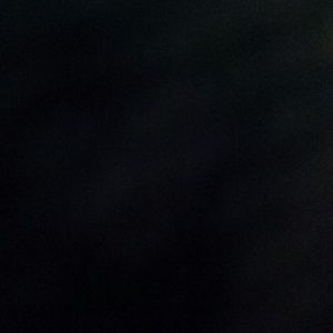 Meet your Posher, Elvira