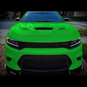 Meet your Posher, Oscar