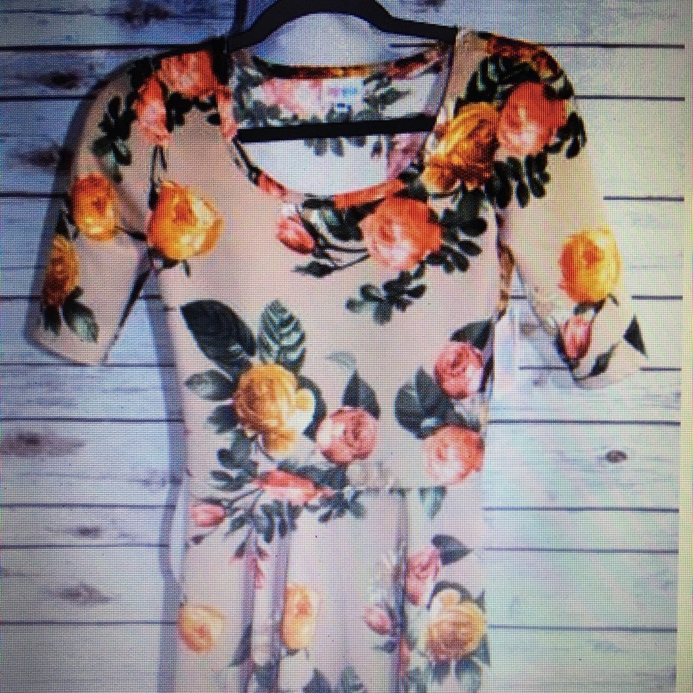 Lularoe Nicole
