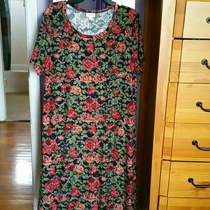 Prettiest Lularoe Carly ever!