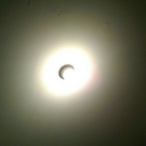 Meet your Posher, Sheena